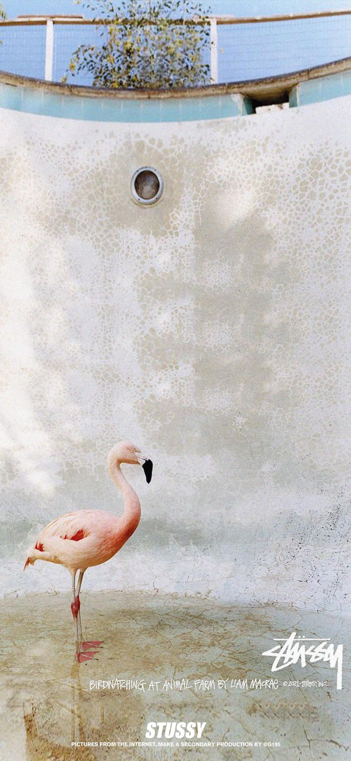 Stussy壁纸横屏,stussy欧美壁纸