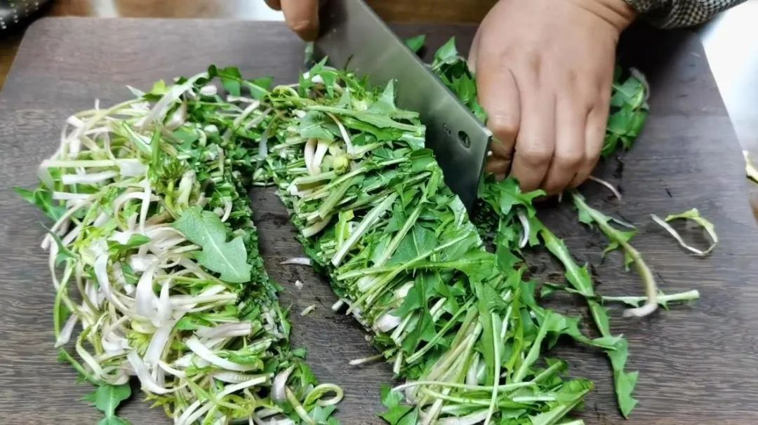 藏在草丛里的“护肝冠军”，全身都是宝，比韭菜鲜美，比豆腐营养