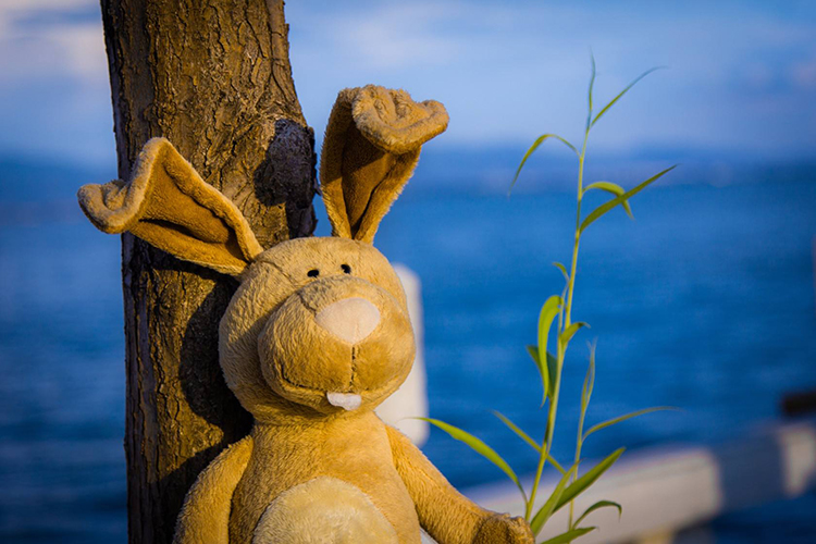 众筹投资有什么平台,众筹的平台和流程