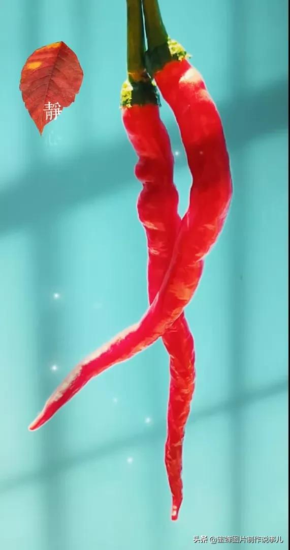 昆虫总动员壁纸,青草昆虫壁纸