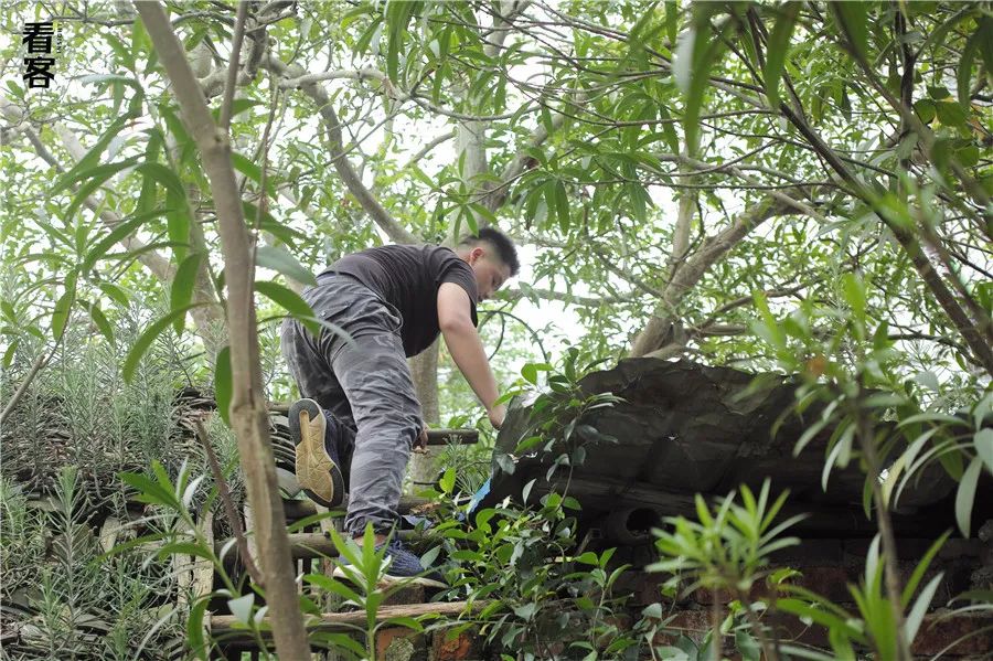小镇的暑假,小镇少年的假期