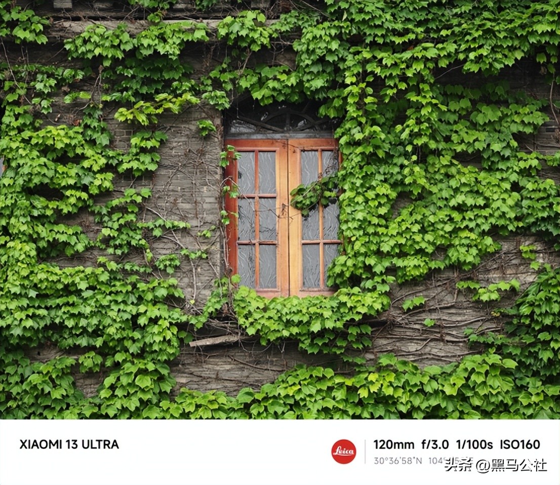 oppo和小米拍照对比,oppo大战vivo