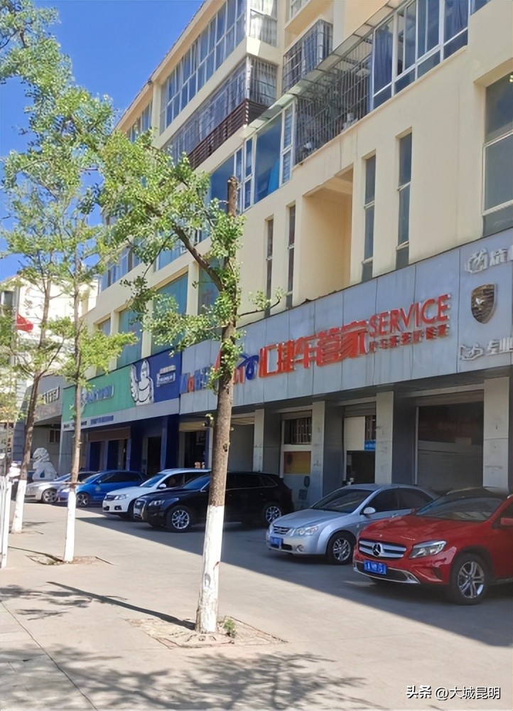 补绿换绿增绿！西山区道路沿线景观将焕然一新