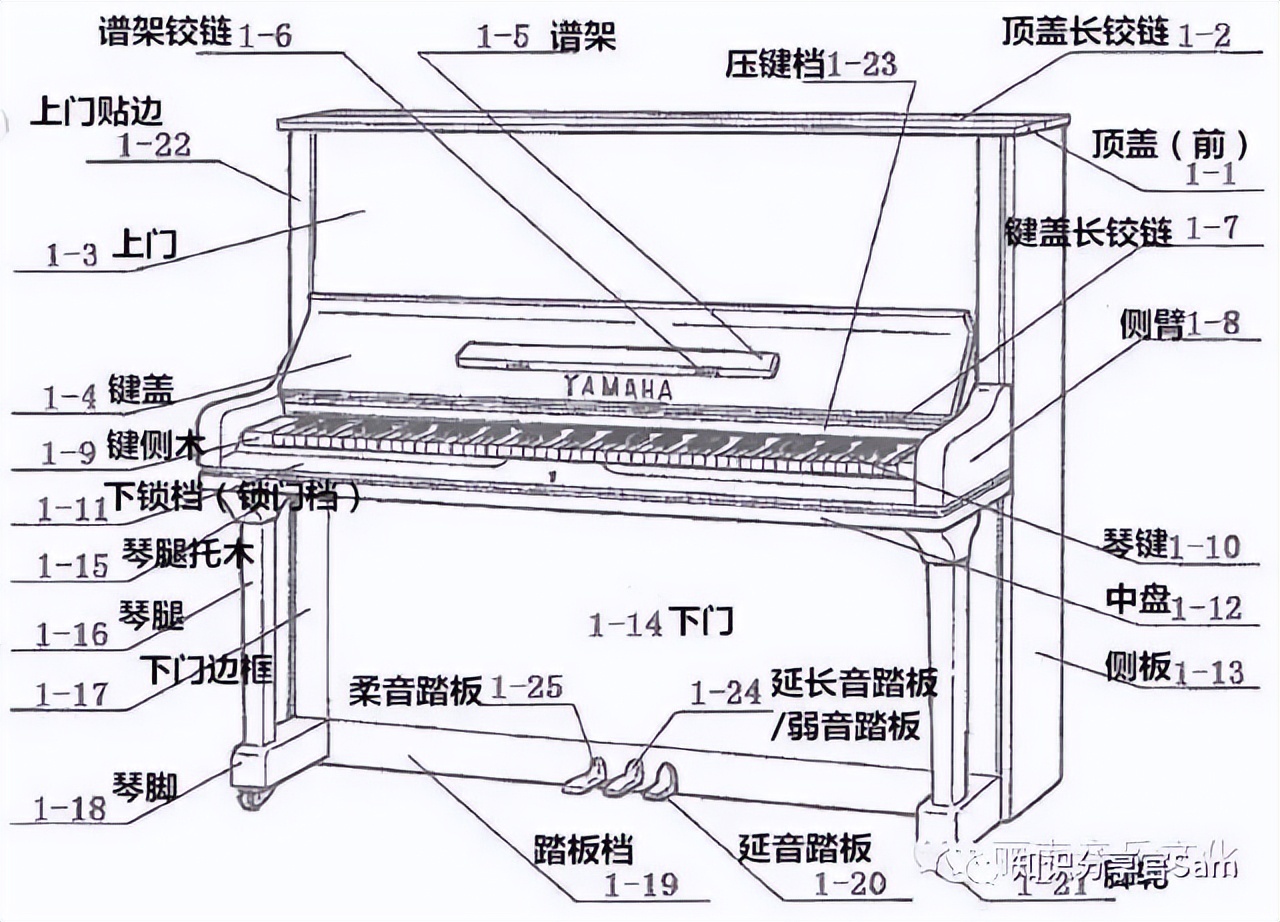 零音乐基础学哪种乐器比较简单,学音乐乐器的基础入门教程