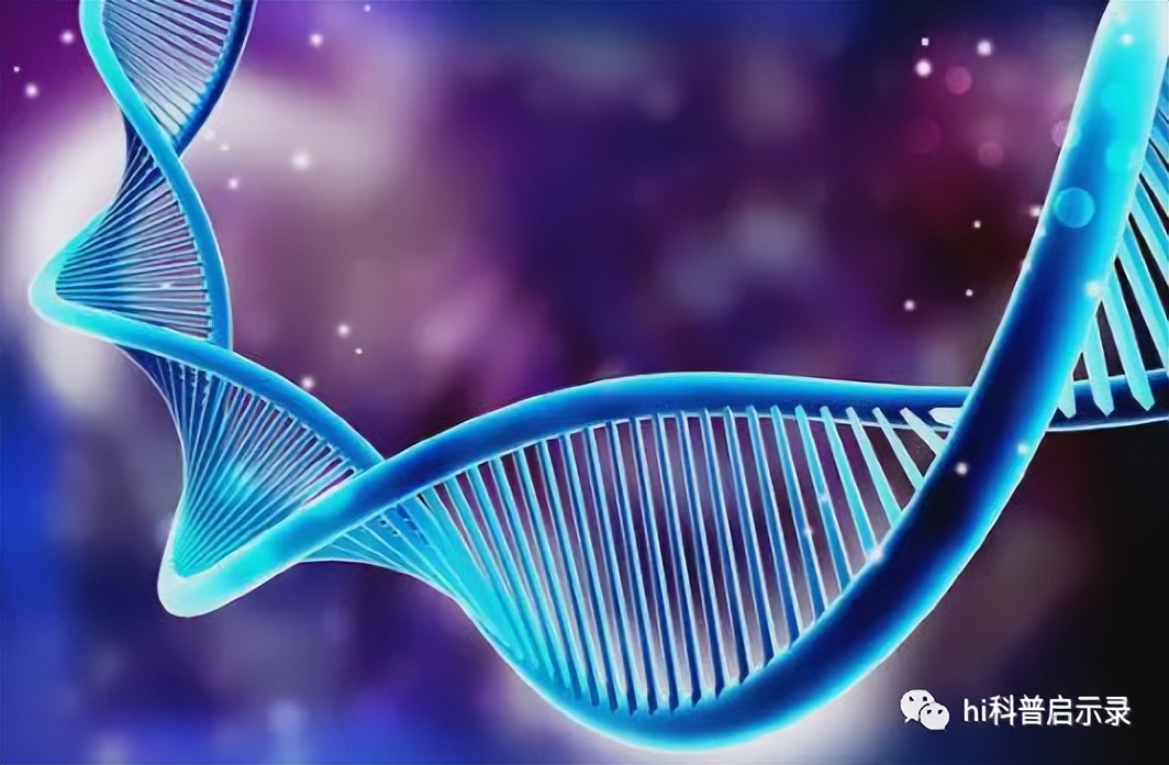 俄国鲟与中华鲟,欧洲鲟和西伯利亚鲟杂交