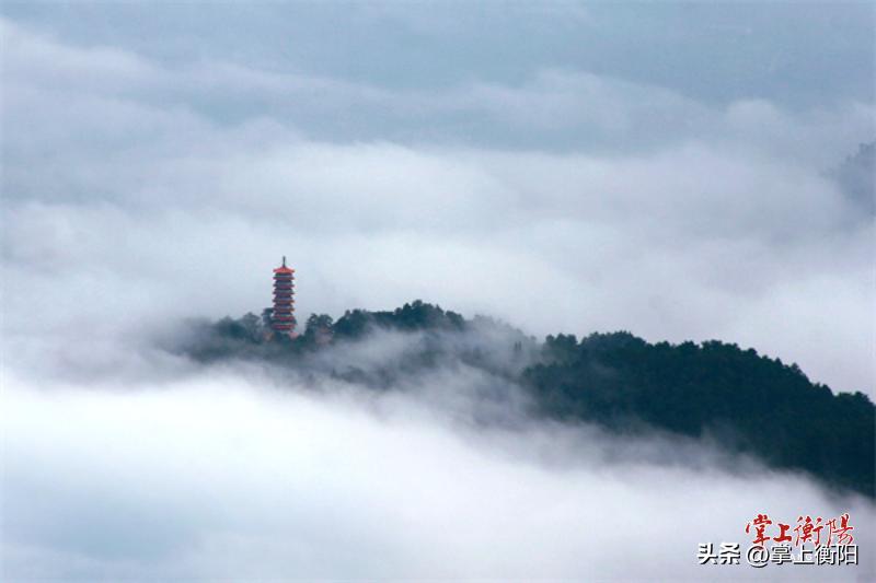 衡山康养,南岳衡山国际中医康养产业园