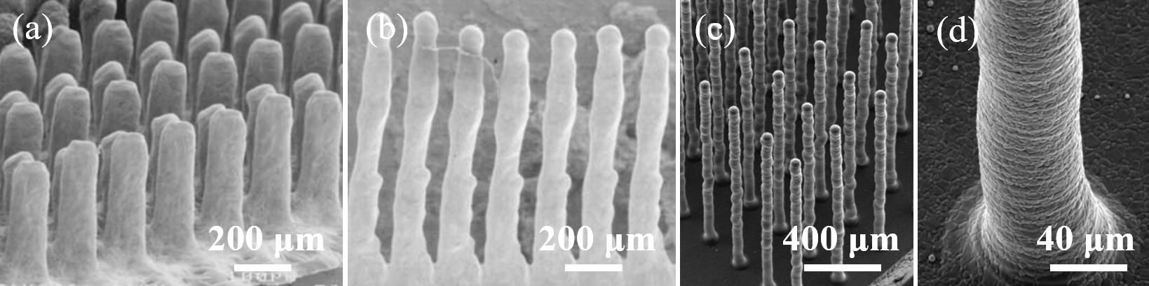 一篇文章带你了解陶瓷3d打印,陶瓷3d打印技术的成型过程