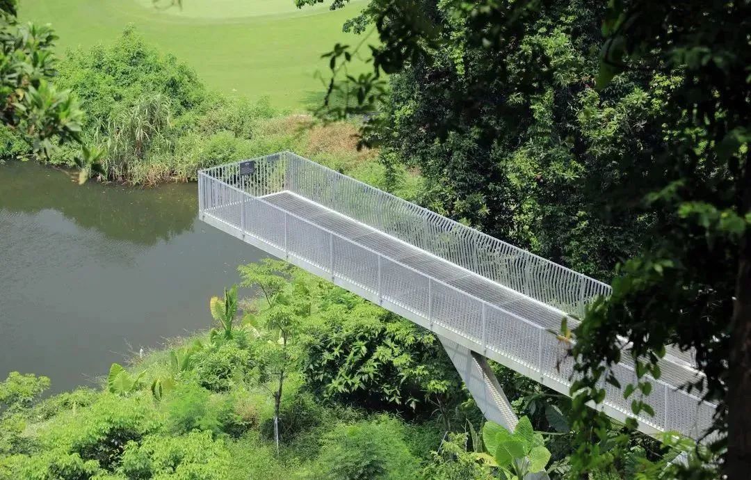 微度假|最美绿水青山线路！被深圳这片乡野田园治愈了