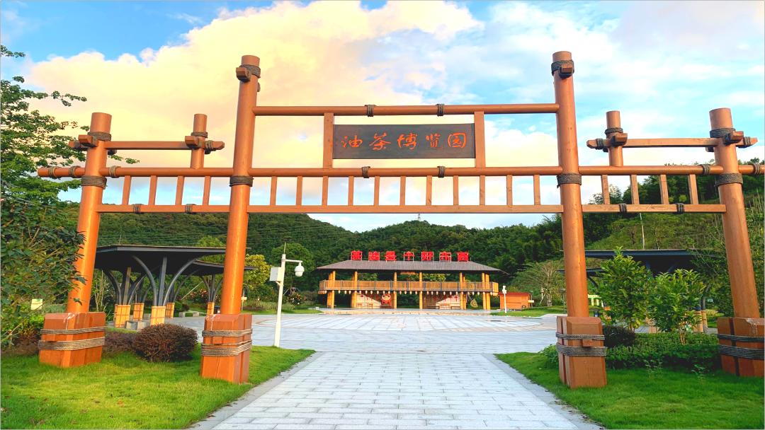 肇庆最美绿道在哪里,肇庆最美公路千里走廊在哪里