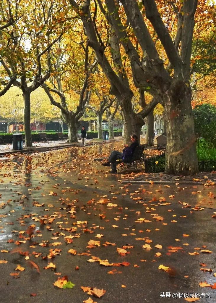 明天立秋下雨有什么预兆,立秋有雨表示什么