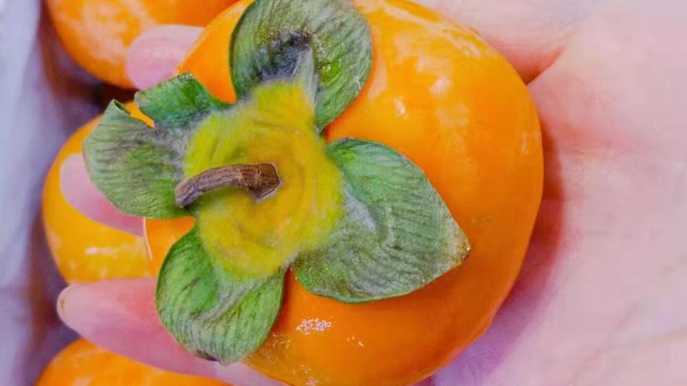 开水果店怎么吸引顾客,开水果店做什么活动才能吸引顾客