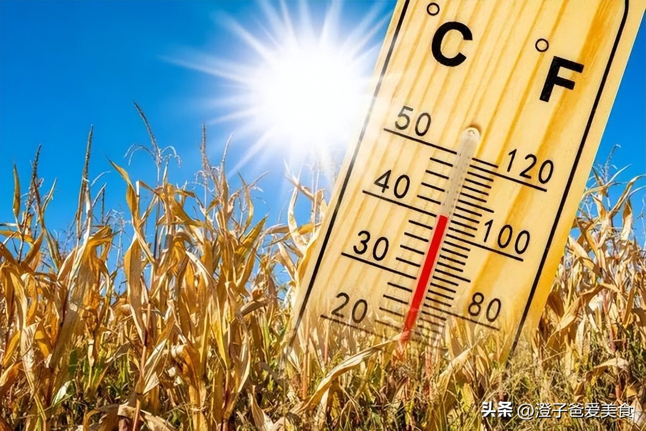 夏天旅游最凉快的城市,中国夏天凉快又不晒的地方