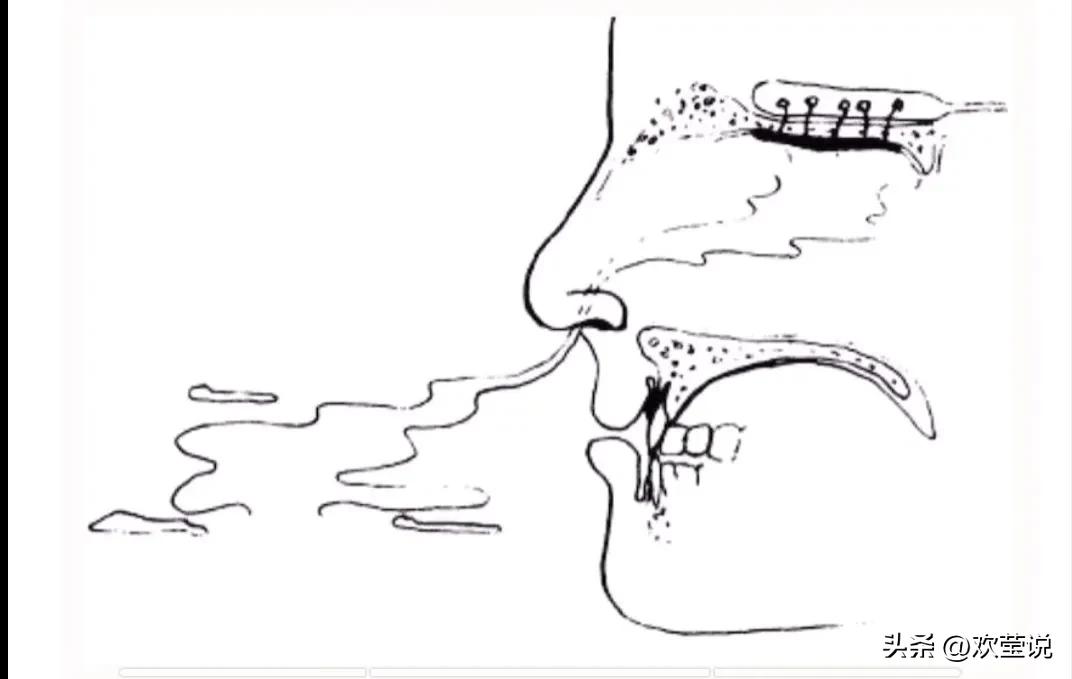生活冷知识大全1000条,生活中这些冷知识你都知道吗