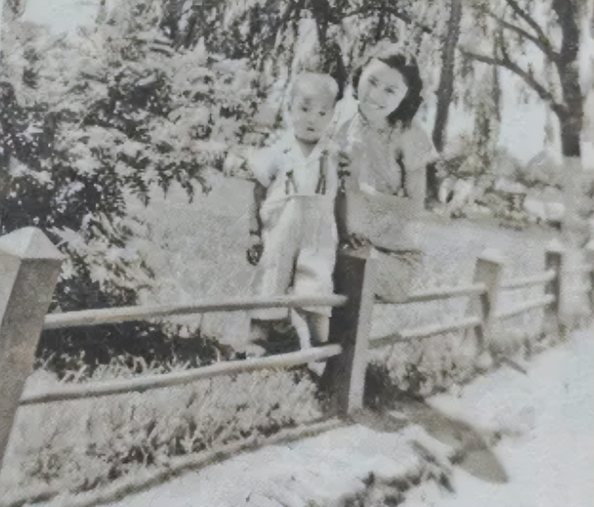 史铁生捐赠器官,史铁生器官捐献视频