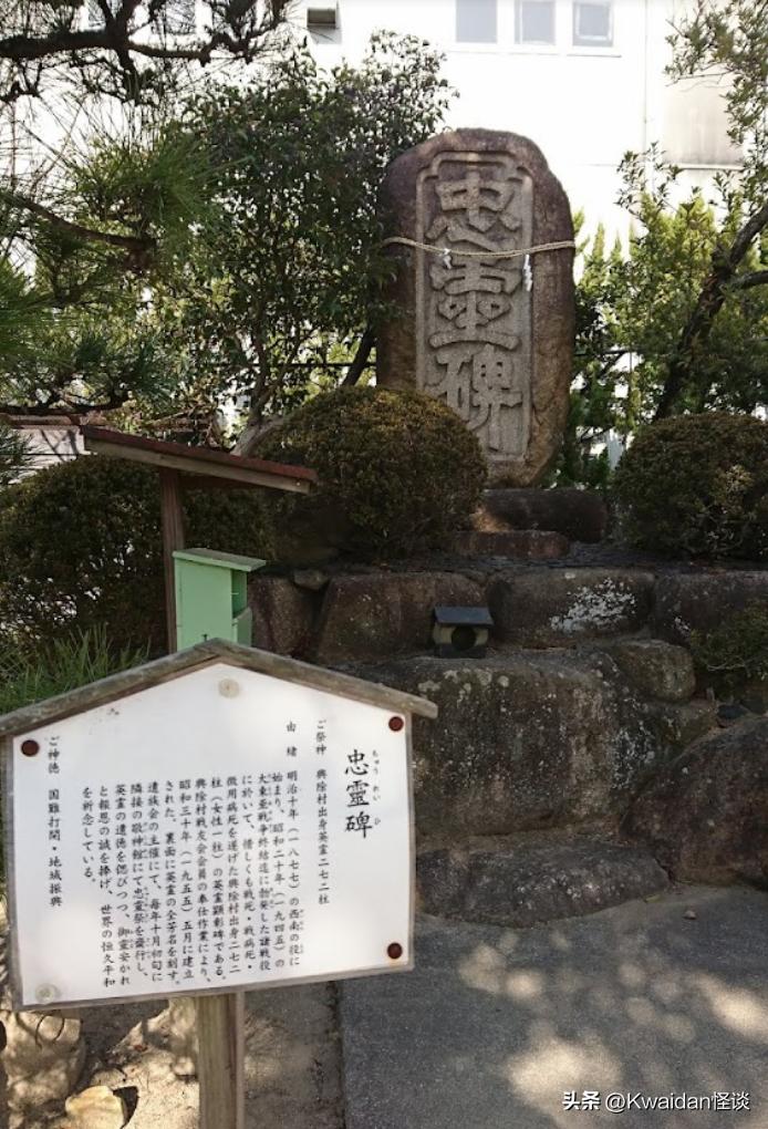 我从网上买来陌生人的信件，看看半个世纪前的他们都在聊些什么