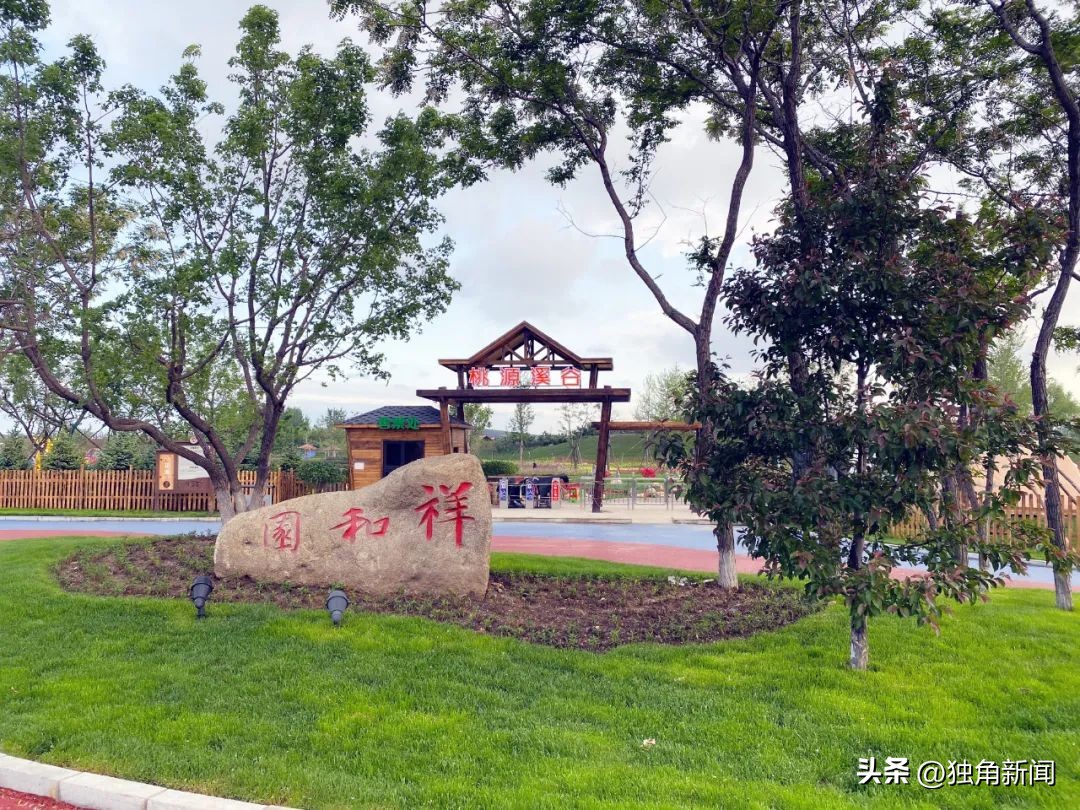 奥运冠军之城辽宁,奥运冠军最多的城市鞍山