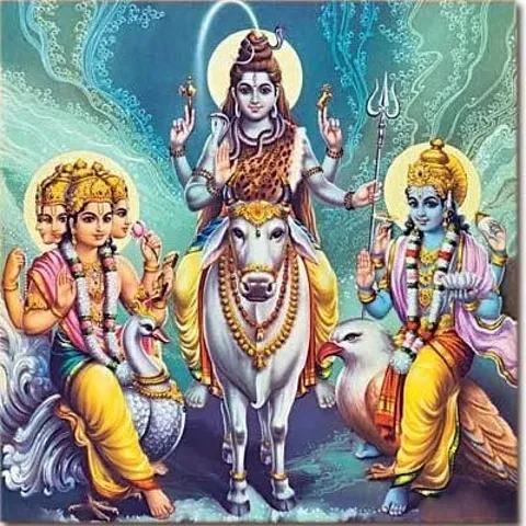 印度有什么特有的动物,印度代表动物是什么动物