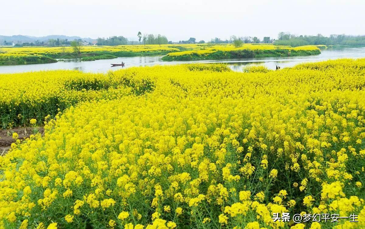 我的师父完整版相声,我的老师傅作文高中