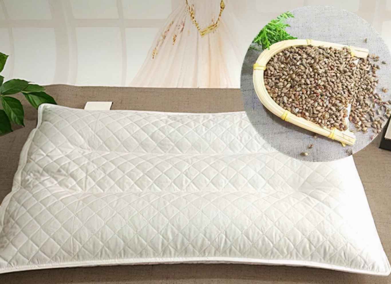 什么树果实做枕头治失眠,侧柏籽枕头长期枕有什么好处