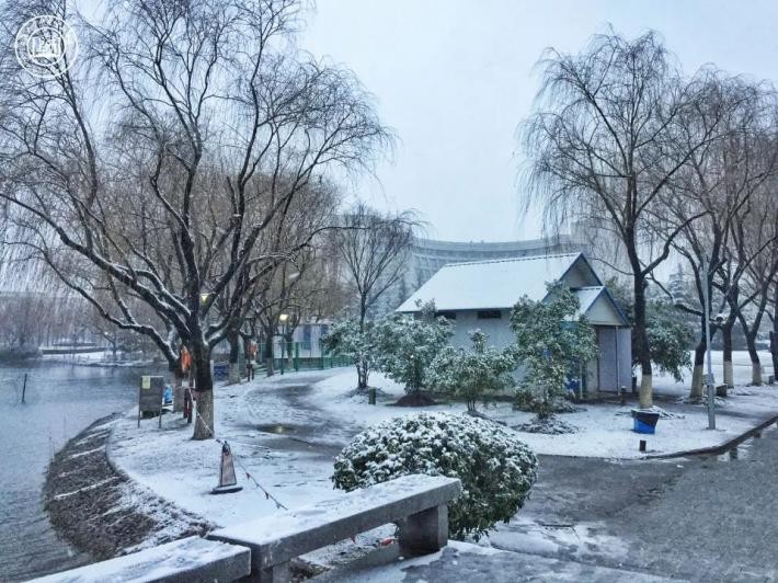 上海必打卡学府,上海最高学府排名第一