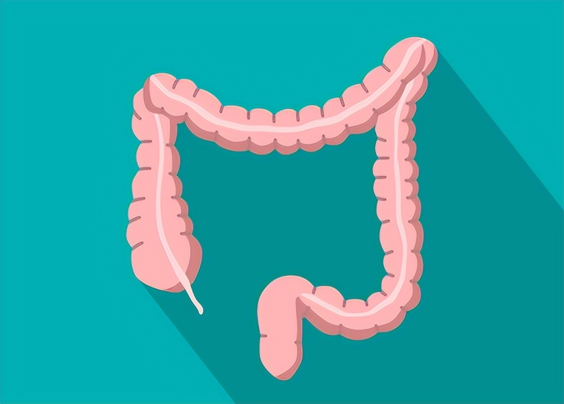 便秘如何调理脾胃,便秘如何补气