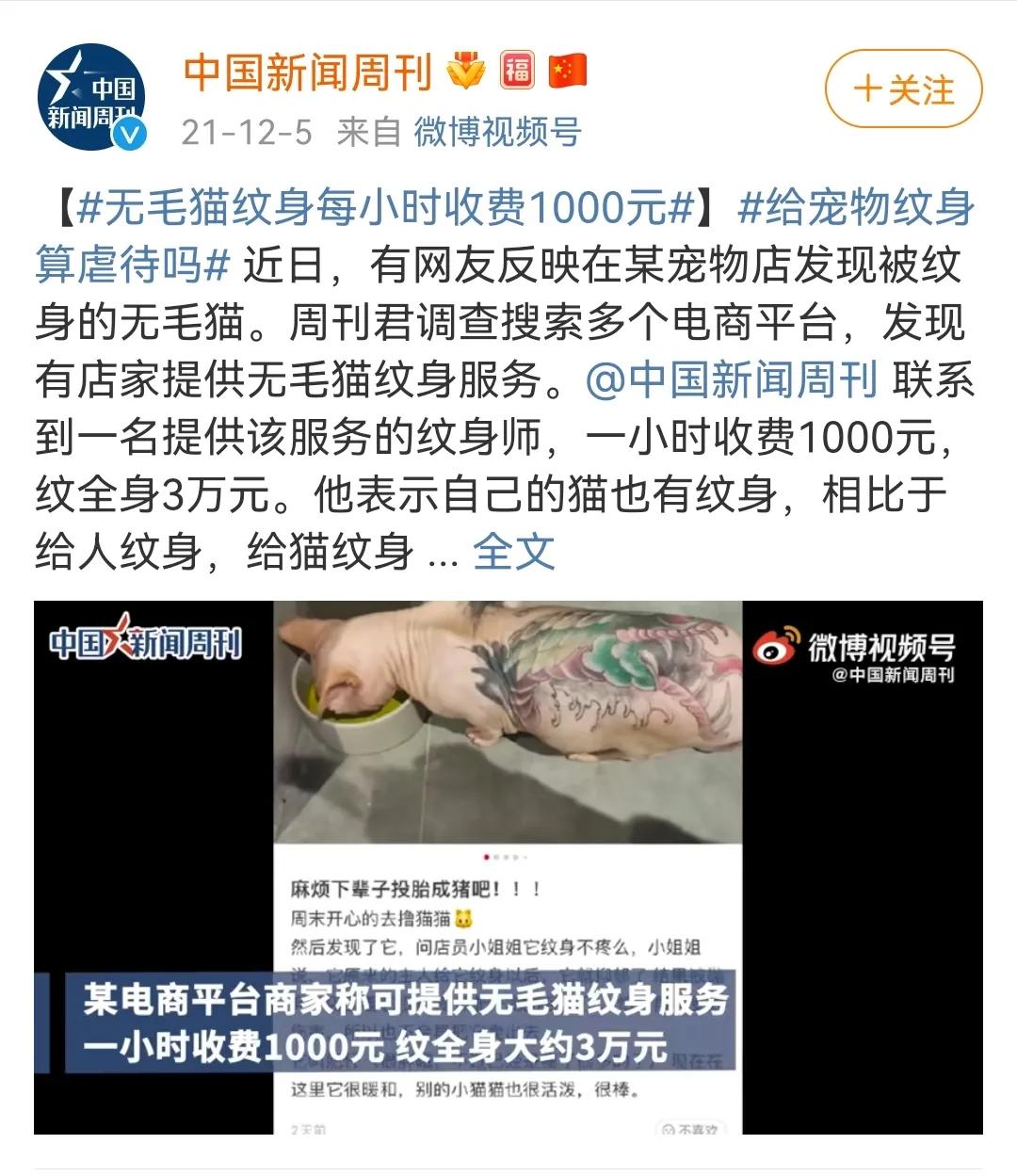 这样的阴间猫狗审美,早该翻车了