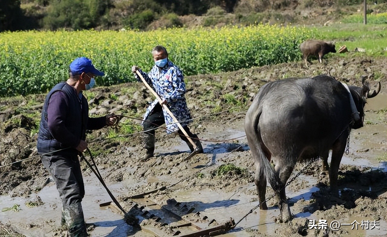 农村土地以后怎么耕种与承包,农村土地承包有没有变动