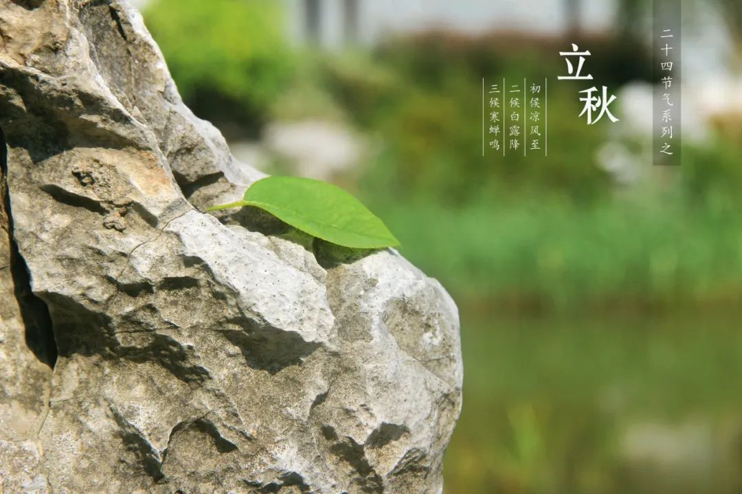 立秋的经典诗词,立秋最好的十首诗词