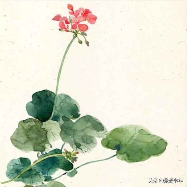 古言小说推荐榜文笔好的男强女强,言情小说推荐甜宠文马甲女强完结