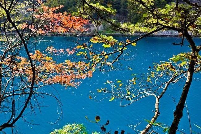 你没见过的雪后九寨沟,你见过雪景吗