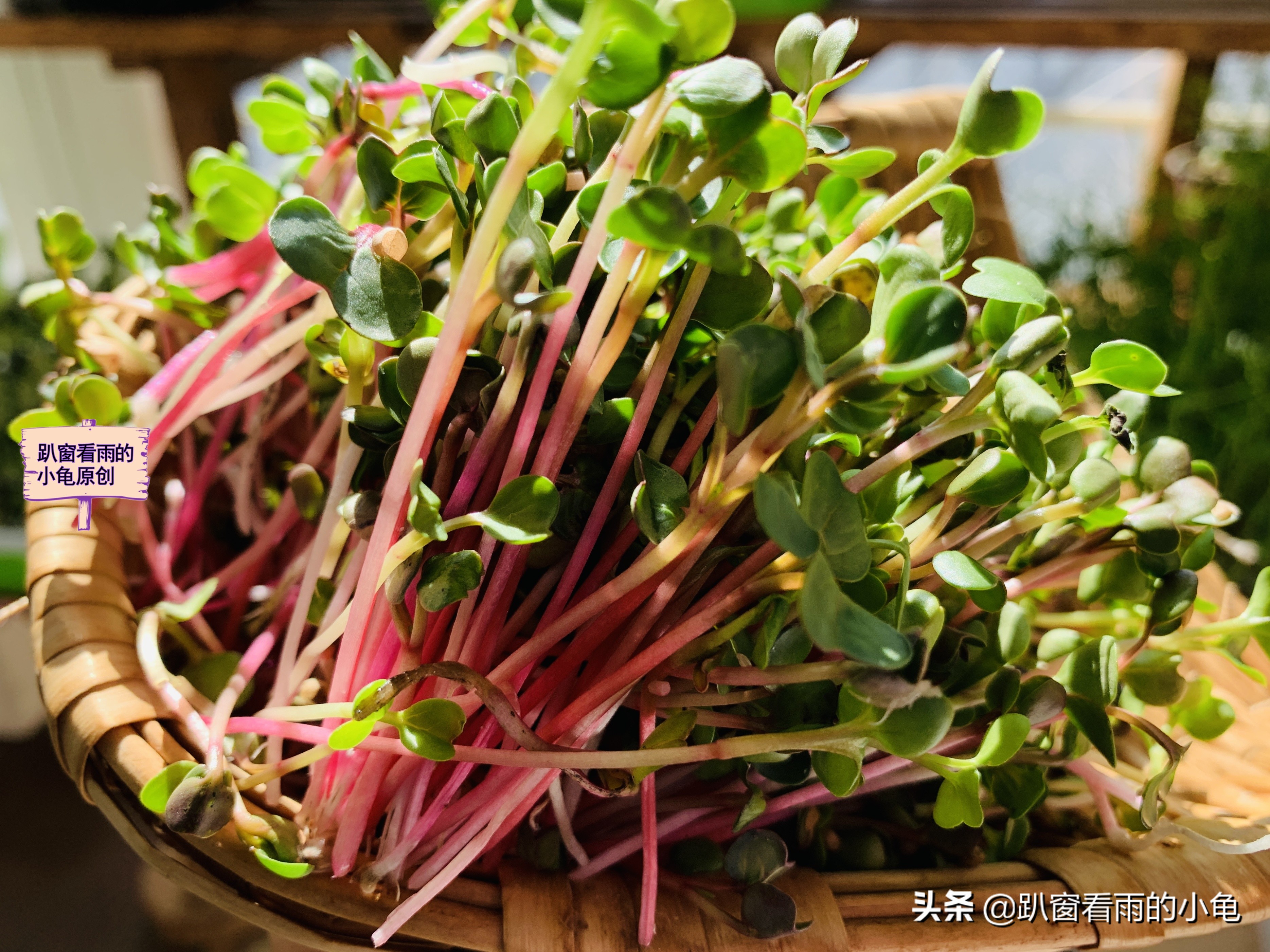 家有余粮，遇事不慌！收好10种生活必要的物资，这3件事也做起来