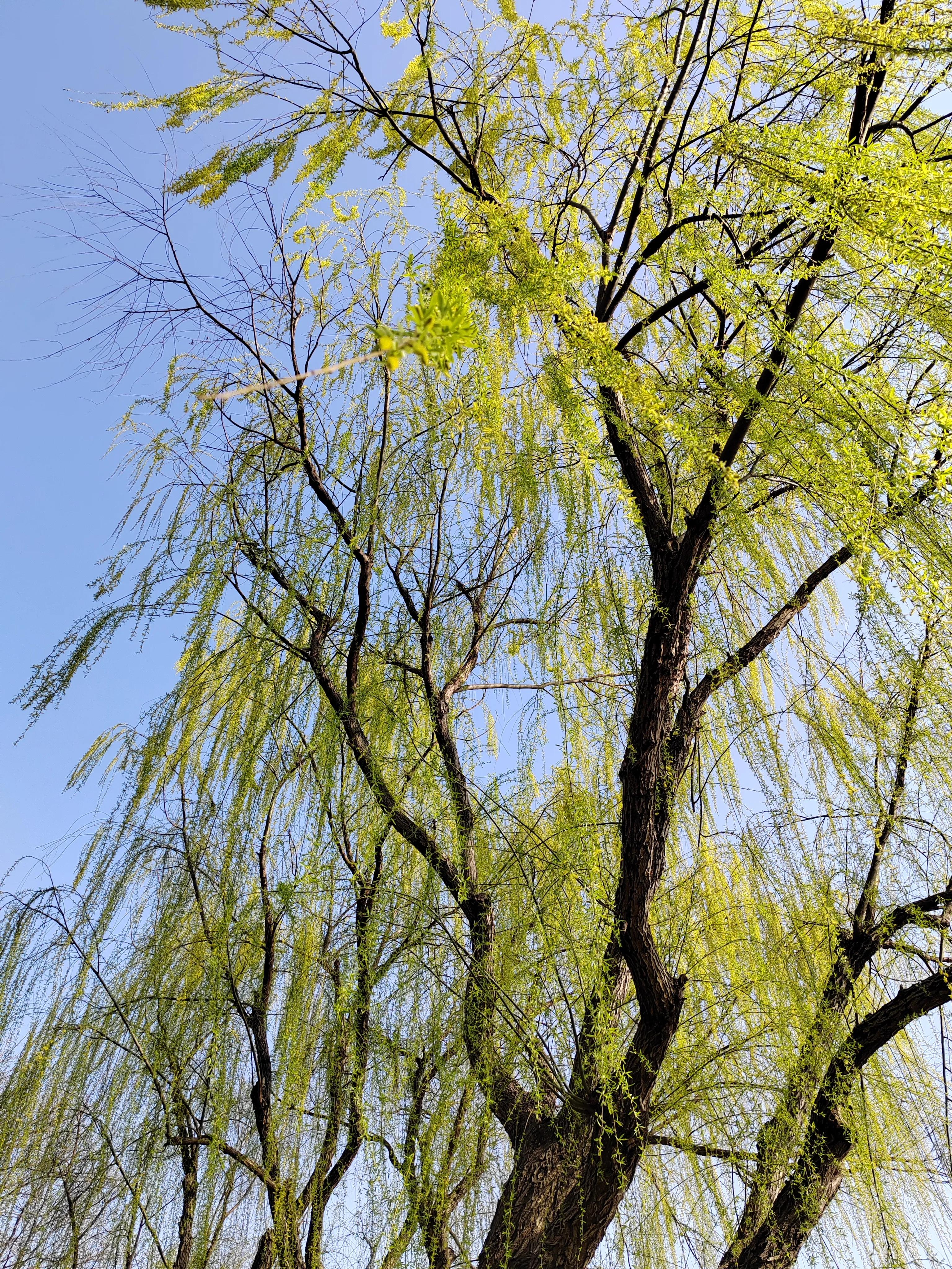 中国历史上第一部军事理论,举世公认的军事理论奠基人