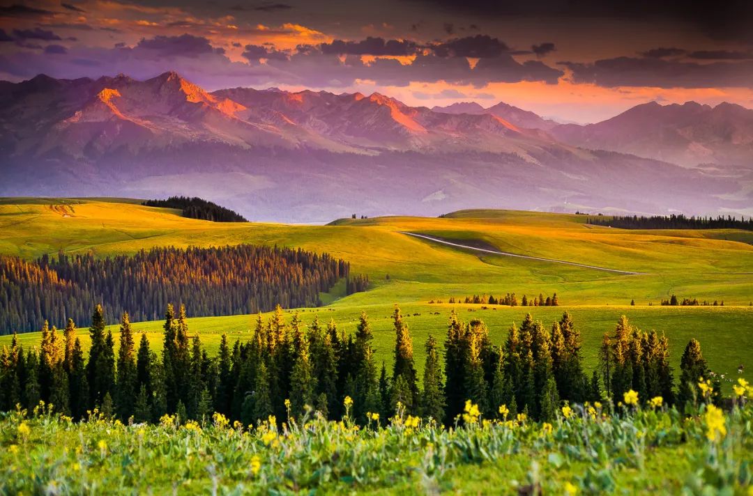 那拉提空中草原雪景照片,大草原的壮丽雪景图