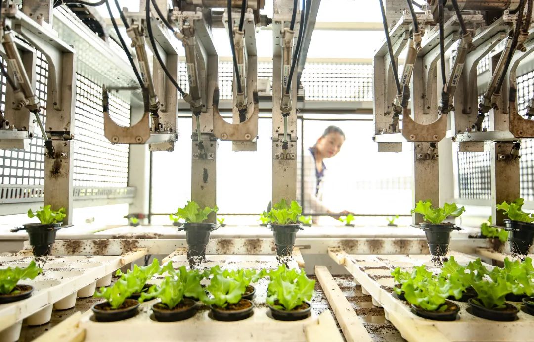 既非省会、也不临海，这里竟是全国规模最大市场集群！