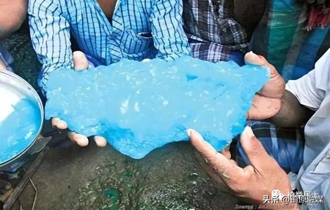 飞机上空姐不会告诉你的五个秘密,飞机上的空姐必备安全小知识