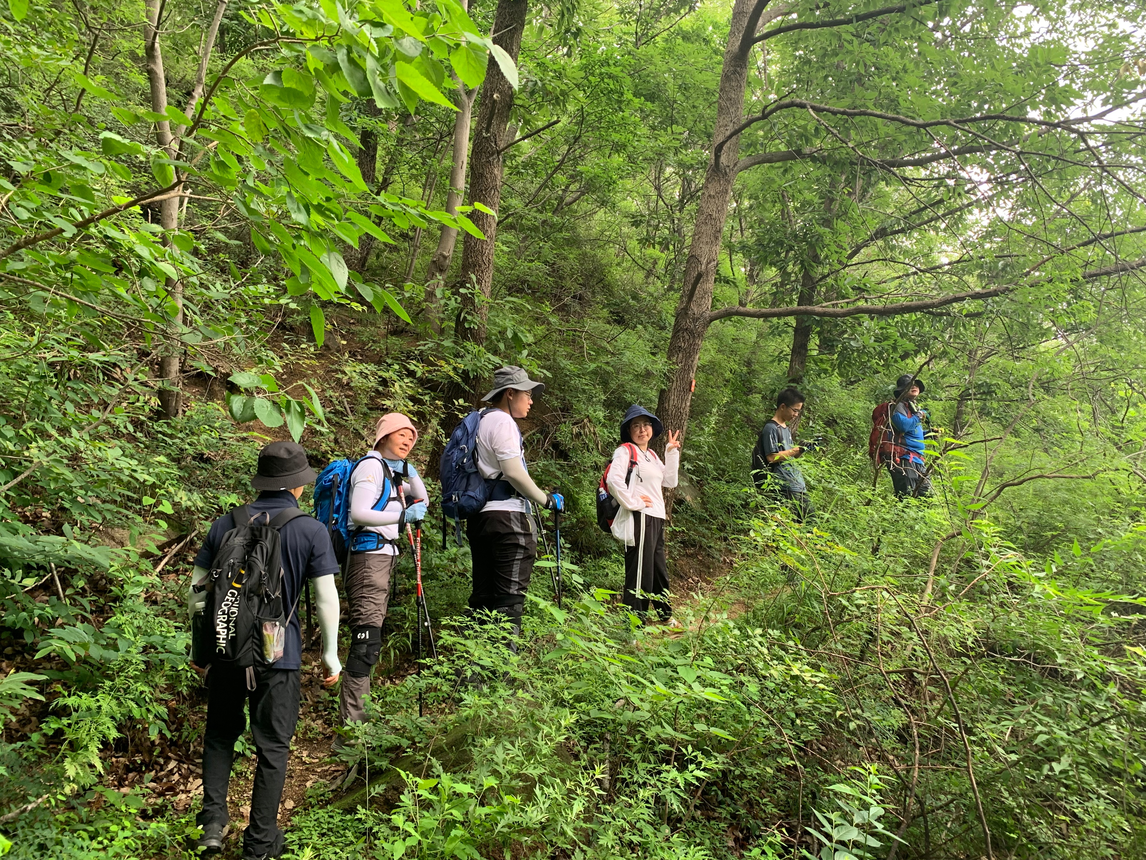 天津春天亲子徒步旅游路线推荐,天津户外徒步一日游推荐
