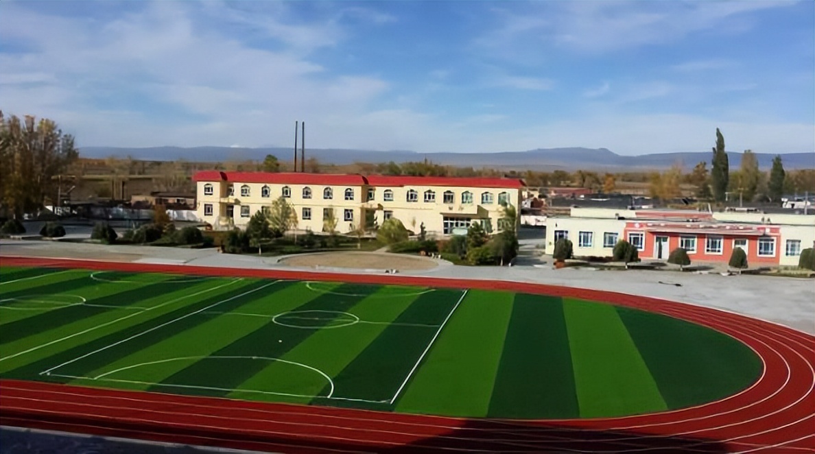 草坪干枯还能活多久,草坪变黄还有救吗