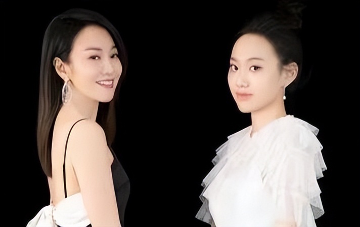 盘点娱乐圈那些整容的女演员,娱乐圈十大实力派青年女演员