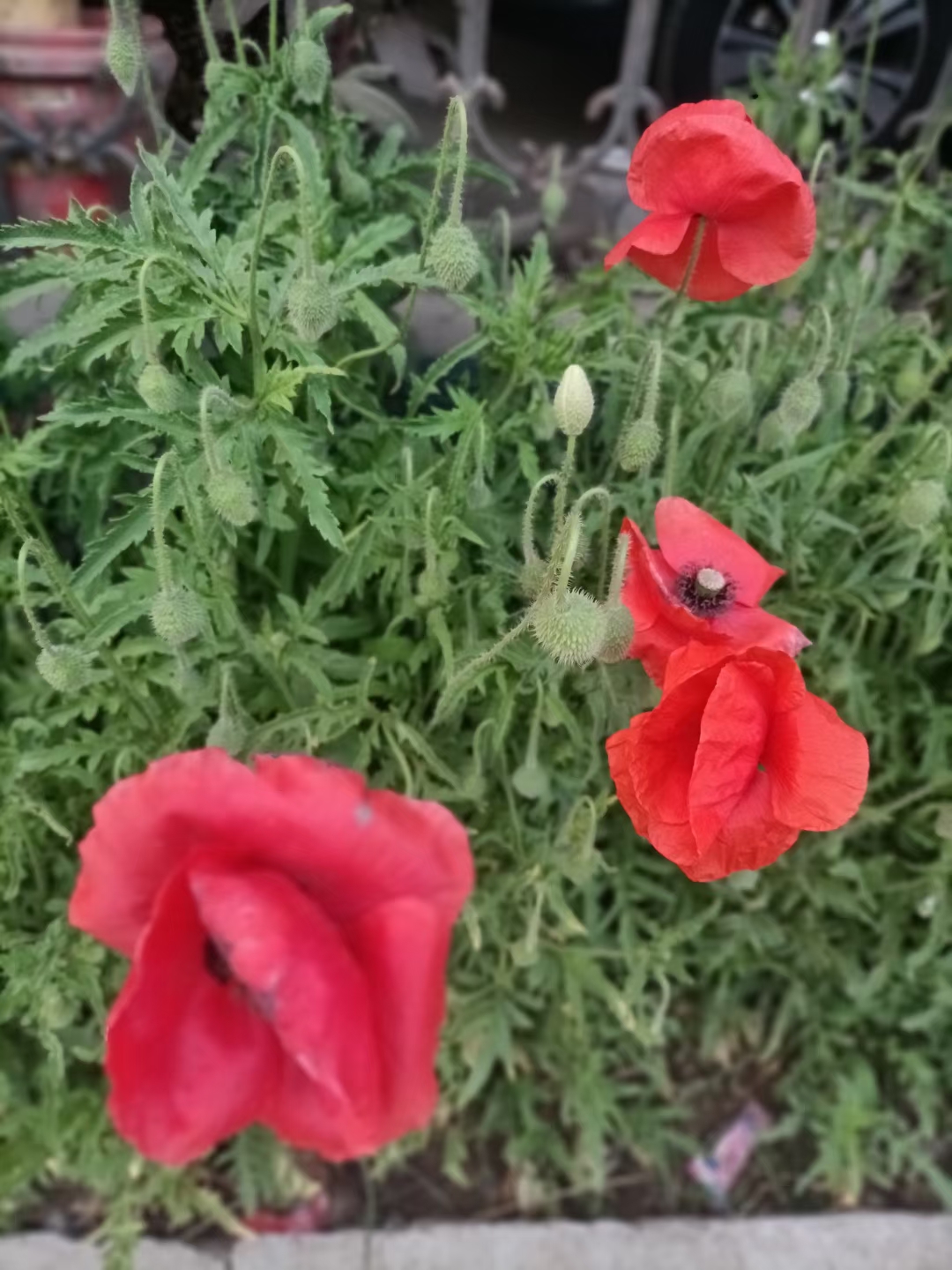 反诈电话提醒是真是假,电话智能反诈功能