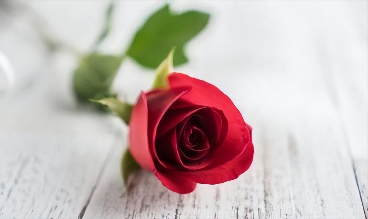 鳄鱼法则是及时止损吗,及时止损是人生的救命法