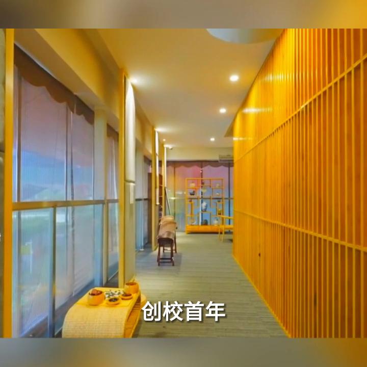 万科梅沙双语学校,深圳万科梅沙双语学校缺点