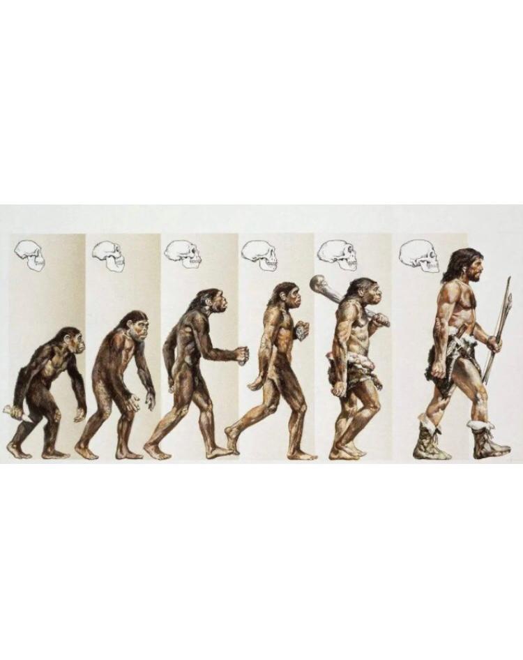 中国古代女性有剔除体毛的习惯吗 (古代女性的发鬓演变史)