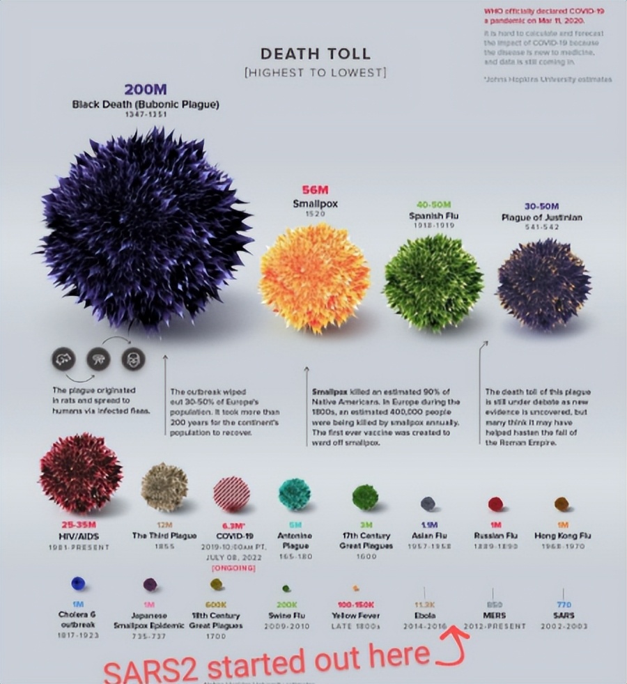 全面放开出省需要准备什么,全面放开后你想干些什么