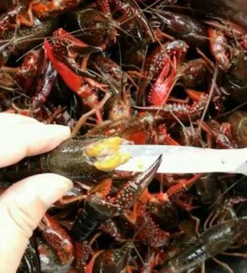 小龙虾吃多了不良症状,小龙虾吃多了会怎样