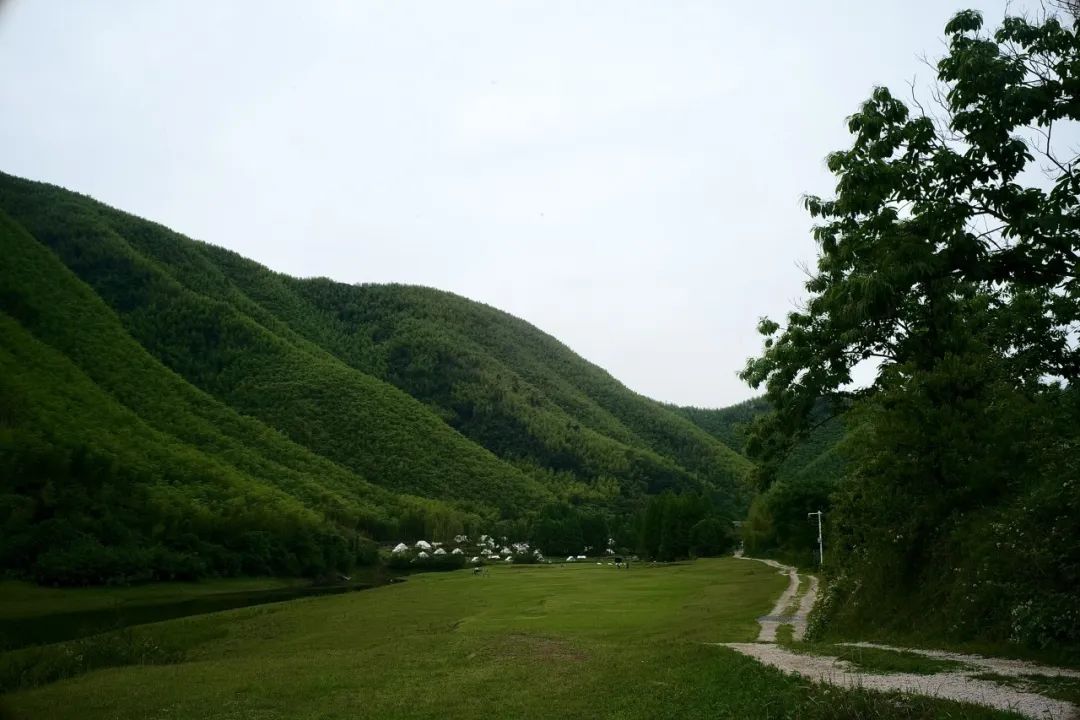 浙江市区度假酒店推荐,浙江轻奢酒店值得推荐