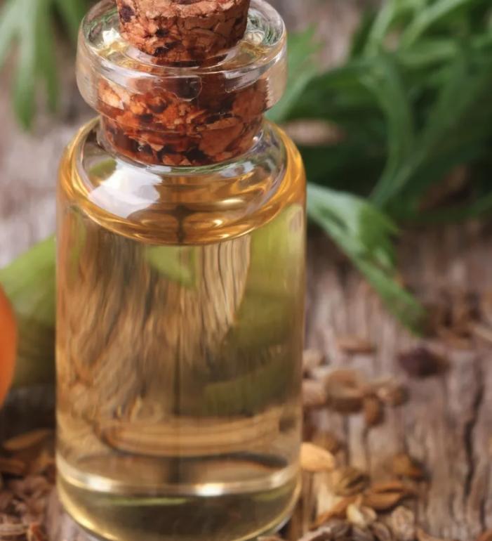 韩国美容新趋势,韩国美容业现状