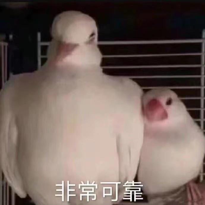 现在流行宽肩,韩国流行宽肩