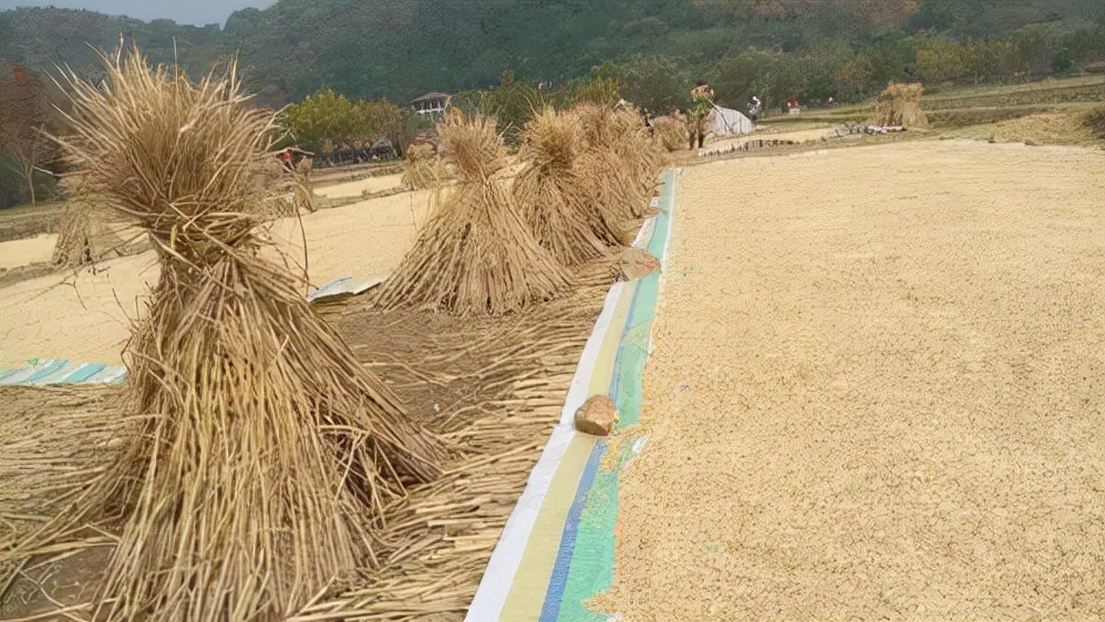 他坐牢27年后，被无罪释放，获赔496万元，如今55岁，又结婚了