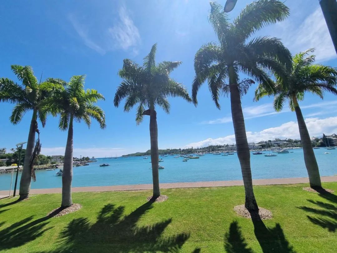 85后敖哥在澳洲：卖海鲜开餐厅，负债20万，远赴海外开卡车