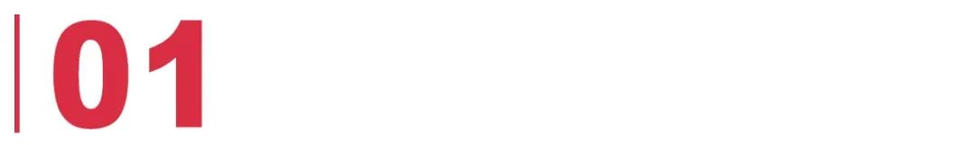 张小熊轻医美都有什么项目,轻医美如何做融资布局